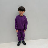 Woodie 3D Logo Tracksuit - Violet