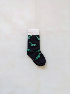 Dino Socks (Pack of 4)