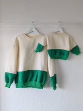 Load image into Gallery viewer, Adult Frankie Colour Block Jumper - Green